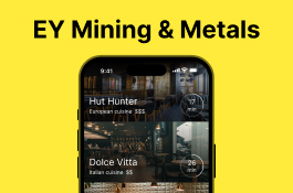 Mining and Metallurgical Industry App: Empowering Top Managers